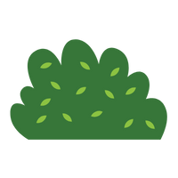 Zielone nasadzenia – krzewy w przestrzeni publicznej Inowrocławia