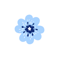 Zasadzone kwiaty – rewitalizacja zieleni w Inowrocławiu